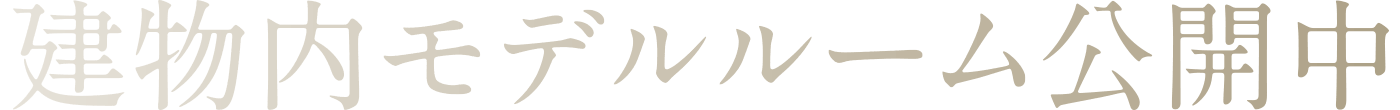 建物内モデルルーム公開中