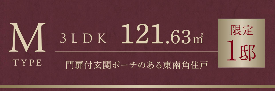 Mタイプ